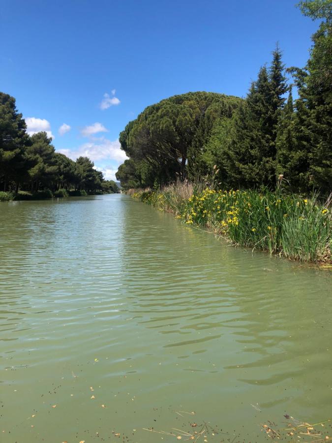 Villa Pintourina Sallèles-dʼAude Esterno foto